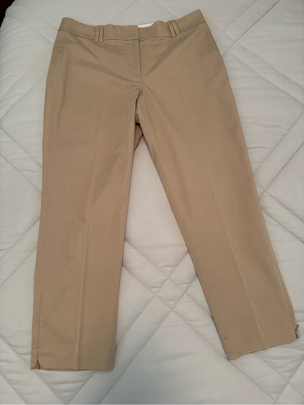 Ann Taylor Tan Ankle Length Trousers 10